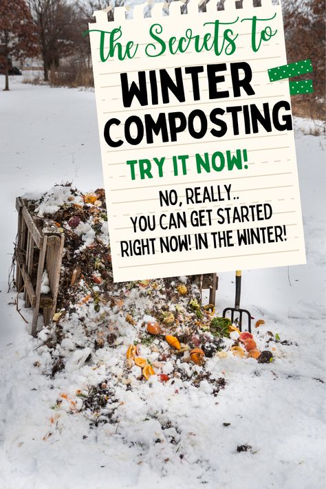 Winter Composting, Homemade Compost Bin, Composting Tips, Best Compost Bin, Biodynamic Gardening, How To Start Composting, Making A Compost Bin, Compost Mulch, Composting Methods