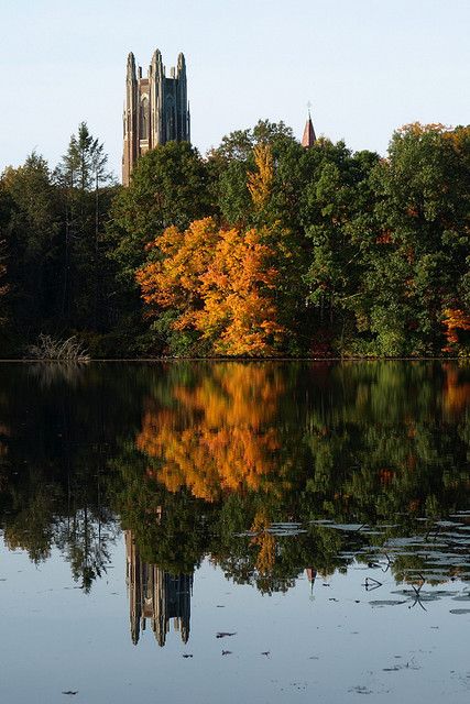 Wellsely College, Wellesley College Aesthetic, Wellesley Aesthetic, Natick Massachusetts, Wellesley College, Going Back To College, College Organization, Dream School, Online University