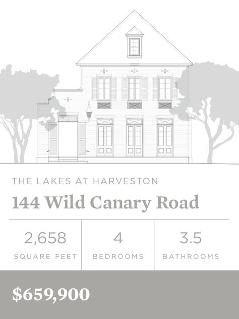 Harveston — Scheffy Land Development, Baton Rouge Louisiana, Street Trees, Louisiana State University, Commercial Construction, Louisiana State, Site Visit, Community Pool, General Contractor