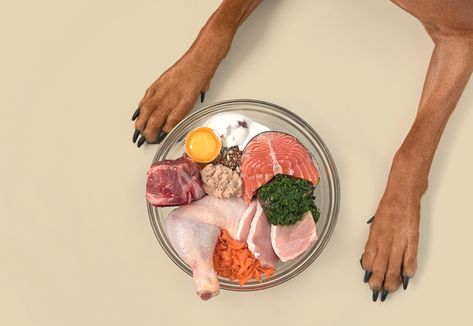 Leaky gut and the importance of diet for dogs with allergies by Canine Nutritionist, Narelle Cooke - Guides | Big Dog Pet Foods Raw Feeding Dogs, Raw Feeding For Dogs, Dog Food Ideas, Organic Dog Food, Fruit Recipes Healthy, Oils For Dogs, Dog Foods, Whole Food Diet, Raw Diet