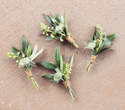 Bloom Assembly on Instagram: “Understated, elegant boutonnières for Bloom Assembly groom Anthony and his gentlemen. Made with Italian ruscus, olive branches, & scabiosa…” Italian Ruscus, Olive Branches, Olive Branch, Boutonniere, Cactus Plants, Gentleman, Wedding Flowers, Our Wedding, Wedding Ideas