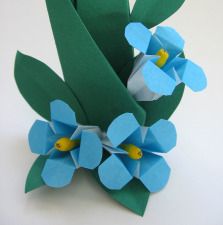 Easy Origami Flower, Origami Flowers Tutorial, Origami Star Box, Origami And Quilling, Origami For Beginners, Origami Fish, Origami Love, Origami And Kirigami, Origami Rose