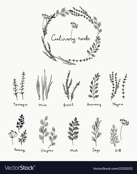 Herb Logo Design, Rosemary Tattoo, Herb Tattoo, Culinary Tattoos, Herb Logo, Herbs Illustration, Food Logo Design Inspiration, Logo Elements, Food Tattoos