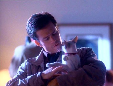 Chris Halliwell, Family Manor, Charmed 1998, Playboy Logo, Charmed Tv, Holly Marie Combs, Charmed Sisters, Charmed Characters, Holly Marie