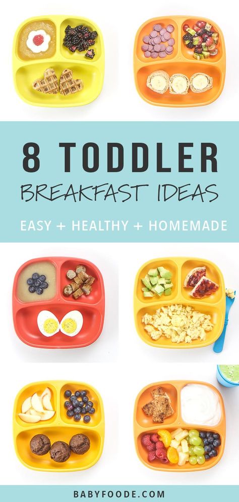 Breakfast Menu For Kids, Breakfast Toddler, Toddler Breakfast Ideas, Healthy Toddler Breakfast, Menu Sarapan Sehat, Kids Breakfast, Prep Breakfast, Toddler Breakfast, Healthy Breakfast Ideas