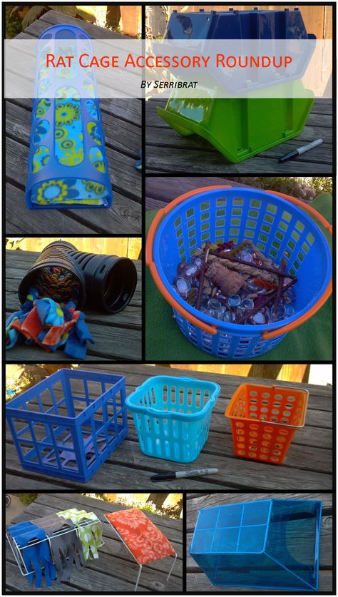 Rat Cage Diy, Diy Rat Toys, Pet Rat Cages, Rat Cage Accessories, Rat Care, Ferret Toys, Rat House, Dumbo Rat, Pet Rodents