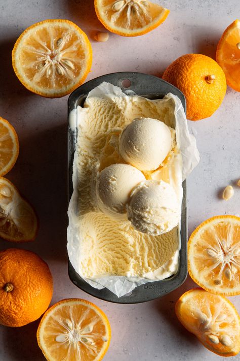 Orange Sherbet Recipe, Sherbet Recipes, Orange Ice Cream, Healthy Ice Cream Recipes, Aesthetic Health, Tattoo Health, No Churn Ice Cream, Healthy Ice Cream, Orange Sherbet