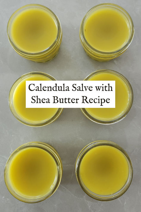 Calendula Salve with Shea Butter: Easy Homemade Recipe - The Homesteading Way Calendula Healing Salve, Calendula Salve With Shea Butter, Calendula Salve Recipe, Calendula Recipes, Herbal Salve Recipes, Calendula Balm, Healing Salve Recipe, Shae Butter, Nontoxic Living