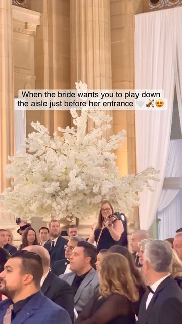 Megan Sullivan on Instagram: "2023, already a year of amazing firsts. I’m so grateful to have gotten to play down the aisle before the gorgeous bride made her entrance. Congratulations again Taylor & Tristan! 🤍 This is a perfect example of how you can customize music to fit your vision! This couple chose to have violin with tracks for their prelude and ceremony music, then for violin to be played while walking down before the bride, and then they brought in @daveksax so we could finish out the Violin Wedding Entrance, Violin Wedding Ceremony Music, Walk Down The Aisle Songs The Bride, Wedding Ceremony Music, Instagram 2023, Wedding Entrance, Wedding Info, Violin Music, Ceremony Music