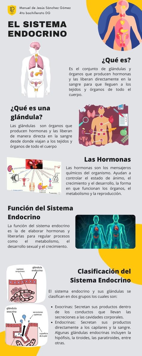 Definición del Sistema Endocrino, definición de Glándula, definición de Hormona, función y clasificación del Sistema Endocrino. Learning Psychology, Psychology Notes, Studying Medicine, Medicine Notes, Medicine Studies, Vet Medicine, Medical Wallpaper, Chemistry Lessons, Medicine Student