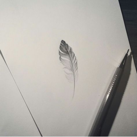 Feather tattoo idea @ Instagram Goose Feather Tattoo, Fine Line Feather Tattoo, Eagle Feather Tattoo, Bald Eagle Feather, Eagle Feather Tattoos, Eagle Feather, Feather Tattoo Design, Fine Line Tattoo, Eagle Feathers