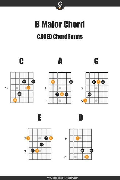 B Major Chord in all 5 CAGED chord shapes A Minor Guitar Chord, Major Chords Guitar, Guitar Scales Charts, Guitar Theory, Guitar Licks, Minor Scale, Music Theory Guitar, Guitar Fretboard, B Minor