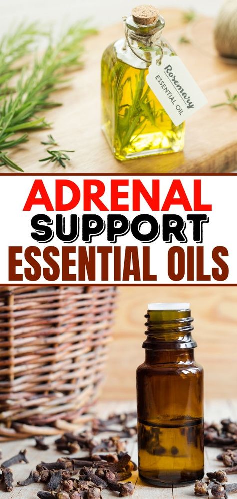 Are you experiencing the symptoms of adrenal fatigue? Wondering how to fix them using essential oils? Here is a guide which explains how to make a simple blend of essential oils to treat your symptoms naturally. Adrenal Fatigue Roller Blend, Natural Adrenal Support, Adrenal Fatigue Essential Oil Blend, Essential Oils For Cortisol Reduction, Oils For Adrenal Fatigue, Adrenal Fatigue Essential Oils, Symptoms Of Adrenal Fatigue, How To Lower Cortisol, Adrenal Support