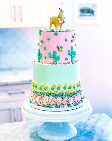 Llama Birthday Cake Llama Birthday Cake, Two Tiered Cake, Llama Cake, Legal Assistant, Llama Birthday, New Year's Cake, Cake Decorator, Tiered Cake, Dog Cakes