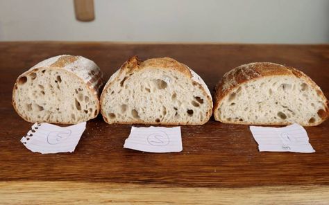 Take A Deep Dive Into Everything To Do With Sourdough Proofing. We'll Discuss; Bulk Fermentation, Science, The Poke Test and Proofing Methods. Sourdough Proofing Guide, Sourdough Proofing, Einkorn Recipes, Easy Bake Oven, Sourdough Starter Recipe, Sourdough Baking, Food Saver, Starters Recipes, Sourdough Recipes