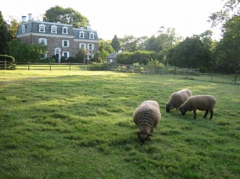 Stockton, NJ at the Woolverton Inn Woolverton Inn, Beautiful America, Nyc Wedding Venues, Nj Wedding Venues, Almond Biscotti, Garden State, First Wedding Anniversary, Jersey Girl, Bucks County