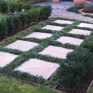 Mid Century Landscaping, Grass Pavers, Garden Walkway, Grasses Garden, Side Garden, Ground Cover Plants, Home Landscaping, Garden Pathway, House Landscape