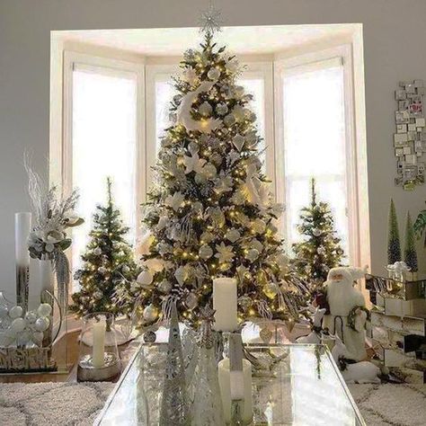 Multiple Holiday Tree Arrangements, Modern Christmas Decor Trends 3 Christmas Trees Together, Multiple Christmas Trees, 3 Christmas Trees, Christmas Decor Trends, Christmas Tree Images, Christmas Lights Garland, Silver Christmas Decorations, Holiday Trees, Classic Christmas Tree