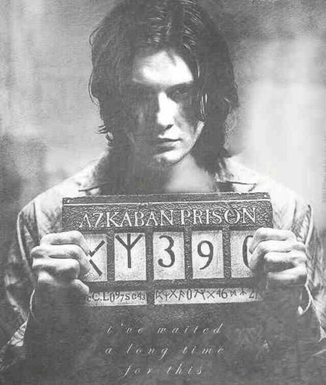 Sirius Black's first Azkaban mugshot / Harry Potter Posters Harry Potter, Young Sirius Black, Citate Harry Potter, Glume Harry Potter, Dream Cast, Buku Harry Potter, Gay Dads, Images Harry Potter, Golden Trio