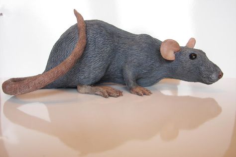 Rat Mask, Mebel Antik, Super Sculpey, Pottery Animals, Crazy Bird, Half Mask, Unique Sculptures, Pet Rats, Clay Animals