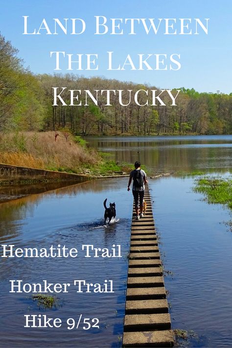 Hiking in Kentucky? Check out the two trails we did in Land Between The Lakes. Land Between The Lakes Kentucky, Kentucky Hiking, Kentucky Vacation, Land Between The Lakes, Kentucky Travel, Camping Destinations, Usa Travel Guide, American Travel, Top Travel Destinations