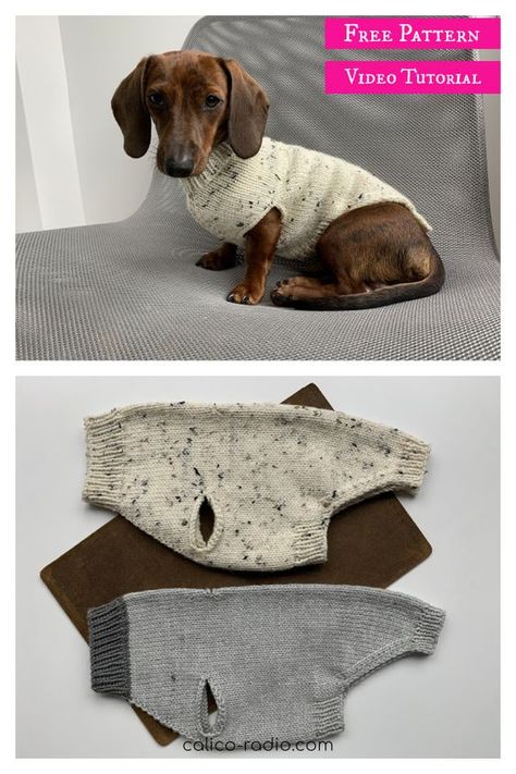 Seamless Dog Sweater Free Knitting Pattern and Video Tutorial Dog Jumper Knitting Pattern, Knitting Patterns For Dogs, Sweater Free Knitting Pattern, Knitted Dog Sweater Pattern, Knitting Patterns Free Dog, Dog Coat Pattern, Dog Sweater Crochet Pattern, Pet Sweaters, Dog Sweater Pattern