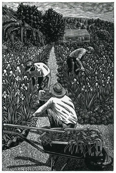 Wood engraving by Andy English. The "What Is Wood Engraving?" section on his website provides informative text and photos. Woodcut Art, Scratchboard Art, Relief Printing, Linocut Art, Woodcuts Prints, Wood Cut, Wood Engraving, Ex Libris, Lino Print