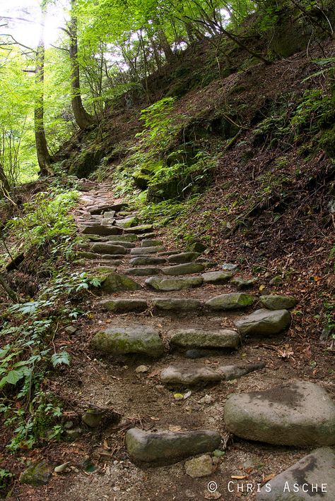 Stairs In The Woods, Hidden Staircase, Tree Tent, Landscape Design Drawings, Sloped Backyard, Landscape Elements, Forest Trail, Nature Spirits, Stone Path