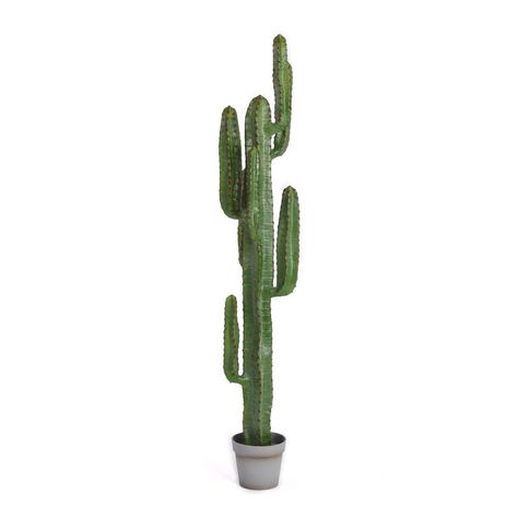 Primrue Artificial Cactus Plant in Pot Liner & Reviews | Wayfair Cactus Tree, Tall Cactus, Wisteria Plant, Large Cactus, Artificial Cactus, Dracaena Plant, Faux Cactus, Plant In Pot, Modern Desert