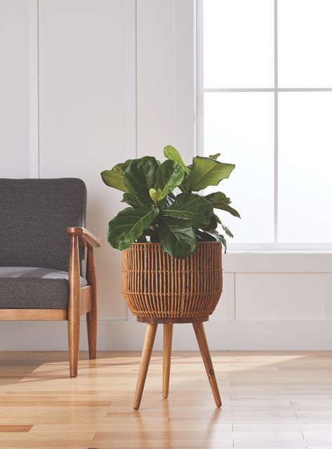 Better Homes & Gardens Brown Round Resin Planter & Stand Set with Wood Legs - Walmart.com Sitting Area With Plants Indoor, Plant Stands Living Room, Boho Indoor Plants, Ikea Plant Hacks, How To Display Plants Indoors, Floor Plant Decor, Corner Living Room Decor, Plant Corner Ideas, Beachy Apartment Decor