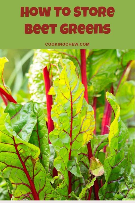 Beet Leaf Recipes, Freezing Beets, How To Store Beets, Beet Green Recipes, 10 Ways To Love, Greens Recipes, Healthy Budget, Ways To Love, Fresh Beets