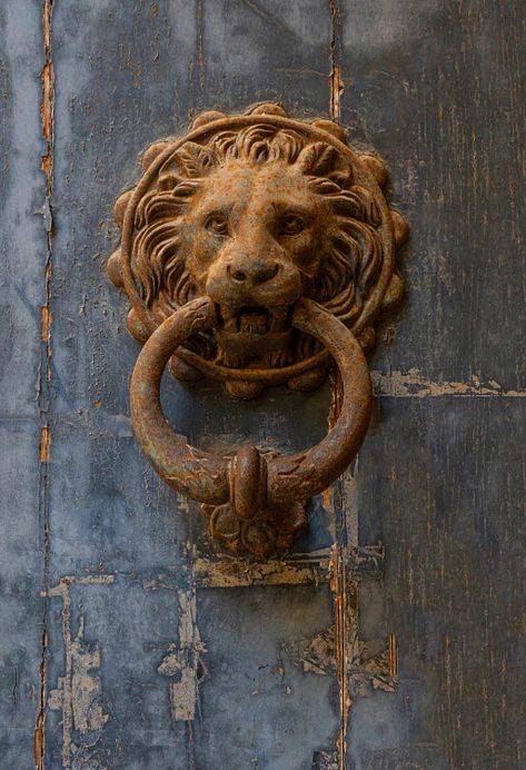 Close up of lion door knocker by Jaroslaw Blaminsky © Trevillion Images. Trevillion Images, Lion Door Knocker, Hidden Images, Door Knocker, Door Knockers, Us Images, Creative Projects, Close Up, Lion