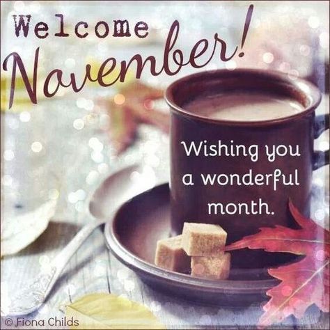 Welcome November Wishing you a wonderful spell good morning november hello november november quotes welcome november goodbye october Hallo November, November Pictures, November Images, Neuer Monat, Welcome November, November Quotes, November Calendar, Sweet November, Happy November