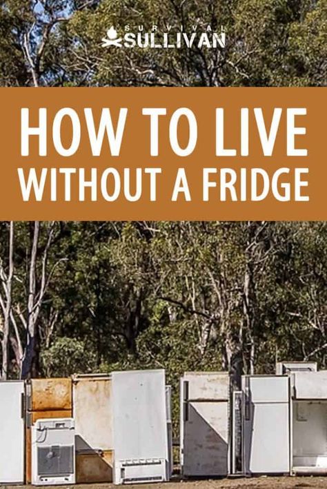 Whether you're trying to save money on electricity or just worried that you won't have a fridge post-collapse, you should know how to live without it. #survivalsullivan #shtf #preppers #prepping Living Without A Fridge, Tesol Lesson Plans, Survival Skills Emergency Preparedness, Living Off The Grid, Going Off The Grid, Surviving In The Wild, Survival Quotes, Homesteading Skills, Survival Life Hacks