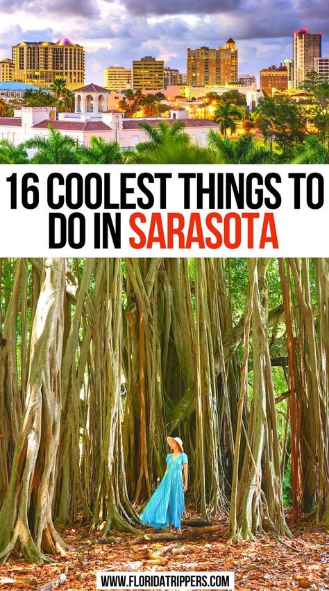 16 Coolest Things To Do In Sarasota Florida Activities, Florida Vacation Spots, Sarasota Beach, Florida Travel Destinations, Siesta Key Florida, Florida Getaway, Florida Travel Guide, Travel Florida, Bradenton Beach