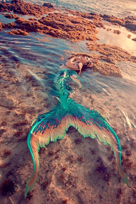 Realistic Mermaid Tails, Mermaid Board, Realistic Mermaid, Mermaid Books, Dark Mermaid, Mermaid Photography, Silicone Mermaid Tails, Mermaid Artwork, Mermaid Photos