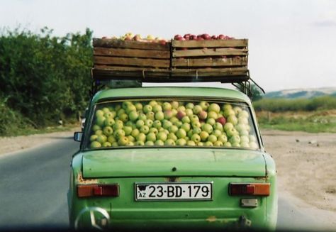 Supply Chain Management – More Masters of Transport and Logistics! Apple Picking, Apple Cake, Cinnamon Apples, Green Apple, Food Styling, Abba, Apple Cider, Melon, Cider