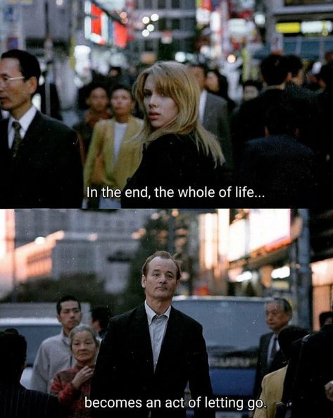 X Cinema Quotes, Movies Quotes Scene, Notable Quotes, I Love Cinema, Lost In Translation, Movie Lines, Film Quotes, Sofia Coppola, Tv Quotes