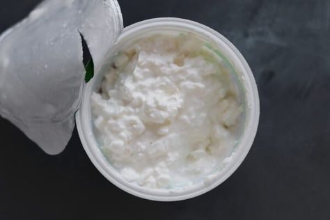 Can You Freeze Cottage Cheese? Freeze Cottage Cheese, Daisy Brand, Freezer Containers, Snack Dip, Dairy Products, Cheese Soup, Creamy Soup, Ricotta Cheese, After Photos