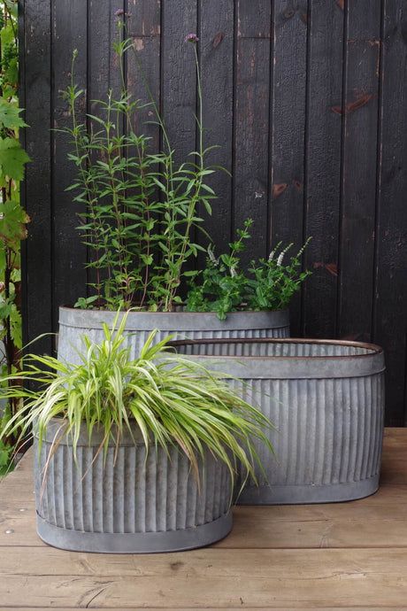 Is your garden looking a little lacklustre? Then make the most of your garden patio, front doorstep, courtyard, balcony or home with a hit of our favourite industrial element…galvanised metal! Our products are often inspired by past designs and vintage originals. Our ribbed metal planter is based on a vintage metal dolly tub and old buckets being repurposed in the garden influenced our galvanised bucket planter. Metal plant pots and dolly tub inspired metal planters with their galvanised zinc Metal Planters Galvanized, Industrial Garden Ideas, Galvanised Planter Ideas, Outside Plants In Pots, Garden Wall Ideas Decorative, Galvanised Planter, Industrial Planter, Galvanized Planters, Industrial Garden