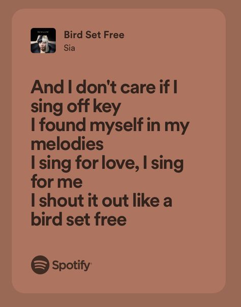 Sia Lyrics, Sia Songs, Bird Set Free, Lyrics Spotify, Beloved Summer, Bird Free, Song Lyric Quotes, Lyrics Aesthetic, Literature Quotes