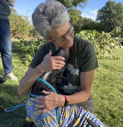 Puppy Find, Flip Flop Wreaths, Rescue Puppies, Sick Dog, Cute Animals Puppies, Foster Home, Animal Stories, Graveyard, Saving Lives