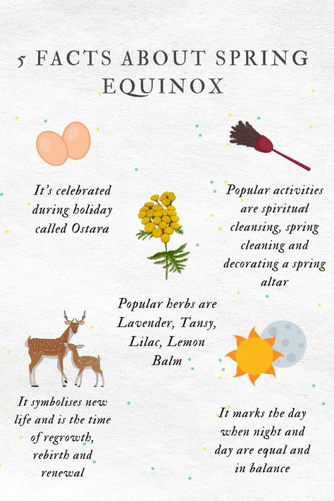 Happy Spring Equinox Day, Pagan Spring Holiday, Spring Equinox Witchcraft, Spring Equinox New Year, Spring Equinox Decor, Happy Equinox Day, How To Celebrate Spring Solstice, Spring Equinox Meaning, Spring Equinox Blessing