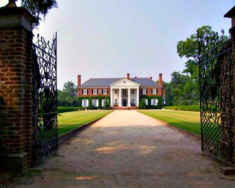 Check out the history and details on the mansions featured in the movie The Notebook! Southern Plantations, Boone Hall, Blue Shutters, Antebellum Homes, Charleston Travel, Cottage Exterior, Southern Homes, Mount Pleasant, Summer Home