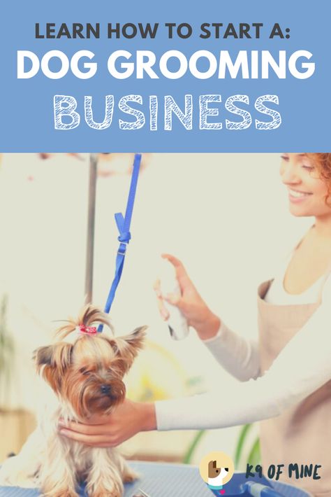 Learn what you need to get a new dog grooming business up and running! #dogs #dogjobs #doggrooming Dog Grooming Salon Ideas, Groom Room, Dog Grooming Diy, Pet Grooming Business, Mobile Pet Grooming, Grooming Ideas, Pet Grooming Salon, Dog Grooming Styles, Dog Grooming Scissors