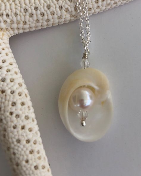 Oyster Shell Crafts, Shell Crafts Diy, St Augustine Florida, Seashell Jewelry, Saint Augustine, Jewelry Images, Shell Necklace, Shell Crafts, Pearl Charms