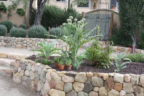 Steps Garden, Vegetable Beds, Rock Steps, Raised Bed Garden Design, Winter Vegetables Gardening, Garden Hedges, Low Water Gardening, Rock Walls, Vegetable Bed