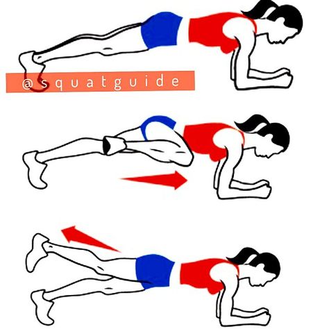 Planks from squatguide's photo on Instagram Plank Ab Workout, Yoga Posses, Plank Position, Yoga Kit, Fitness And Health, Yoga Positions, Plank Workout, Body Motivation, Get Educated