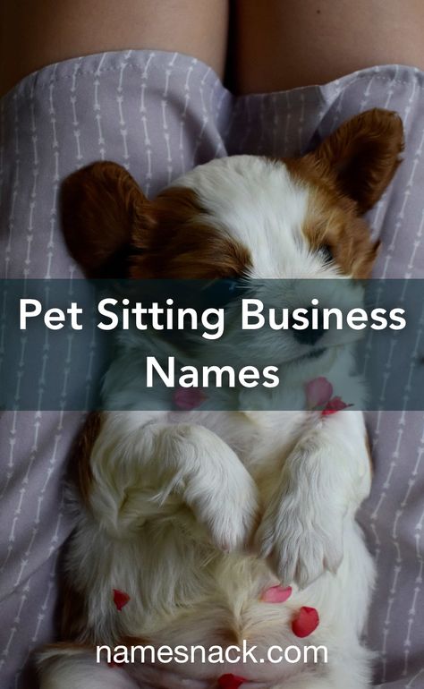 Pet Sitting Business Names, Dog Sitting Business, Catchy Business Name Ideas, Pet Services Business, Pet Sitting Business, Free Logos, Pet Sitting Services, Pet Hotel, Pet Boarding