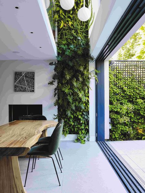 Green atrium in urban home Front Door Planters, Door Planter, Elle Decoration, Houseplants Indoor, Small Outdoor Spaces, Living Wall, Mug Design, Patio Doors, Elle Decor